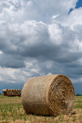A hay bale in the foreground with a trailer full of other bales in the background under a dramatic sky, Bientina, Pisa, Italy © Marco Taliani