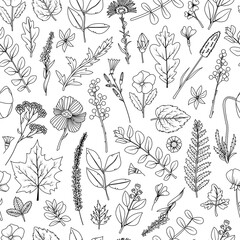 A seamless pattern of dried leaves and flowers for the herbarium.