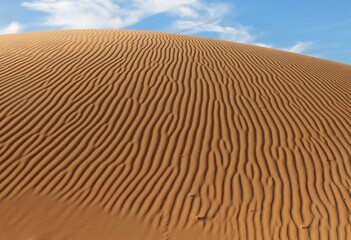 Sand patterns in the Empty Quarter, Oman