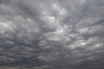 Background consists of clouds in autumn sky. Sky is covered with large gray clouds. Natural...