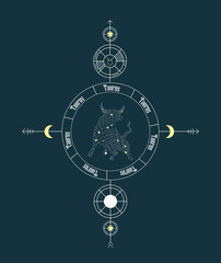 Fototapeta premium Taurus. Vector graphic illustrations of horoscope signs. Zodiac signs.
