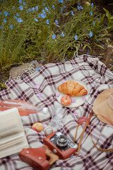 nice picnic on the lion flowers field