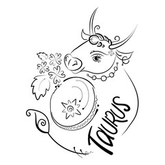 Taurus (bull, cow) with flowers, a drum and the inscription. Black outline drawing. The astrology, horoscope and zodiac theme.