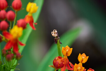 La muerte entre la vida