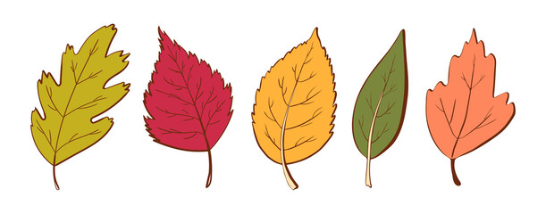 Obraz premium Ecology leaf concept. Isolated on white background. Vector botanical illustration. Hand-drawn doodle floral elements. Spring and summer flower and plant vector in line art outline style. 