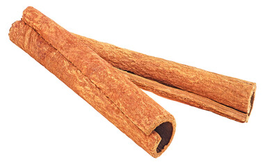 Two aromatic cinnamon sticks isolated on a white background