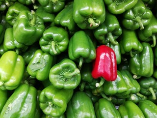Fototapeta na wymiar Red and green bell pepper or capsicum
