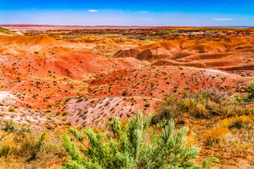 Tiponi Point Painted Desert Petrified Forest National Park Arizona