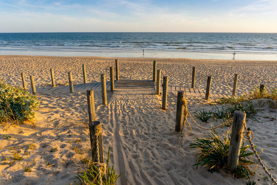 Wide sandy Faro beach with dunes and walkways by the sunset, Algarve, Portugal © eunikas