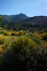 krajobraz góry niebo niebieskie wiosna rośliny drzewa zieleń