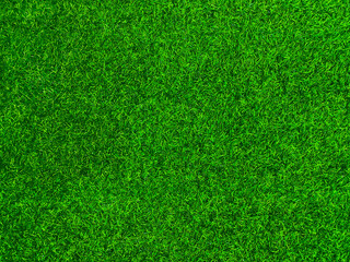 Plakat Green grass texture background grass garden concept used for making green background football pitch, Grass Golf, green lawn pattern textured background.
