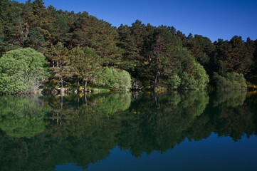 krajobraz góry jezioro wiosna niebo nienieskie natura drzewa