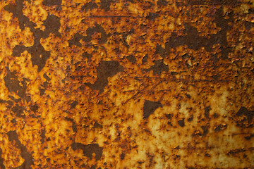 Surface of rusty, oxidized iron. The metal is covered with corrosion, scratches and peeling light paint. The image can be used as a texture or background. Copy space.