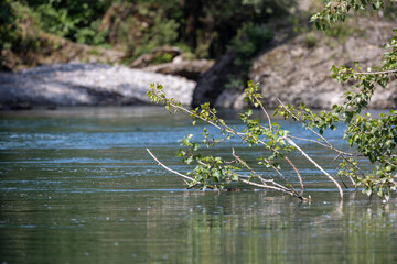 Natural setting on the banks