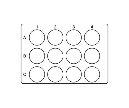 12 Well Plate template. Clipart image