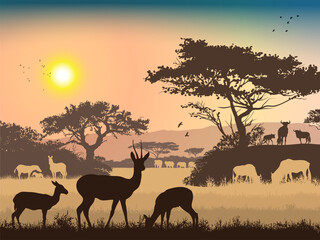 Fototapeta na wymiar African landscape. Grass, trees, birds, animals silhouettes. Abstract nature background.
