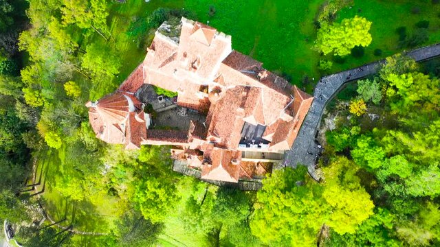 Flying over Bran Castle, Transylvania - Autumn season in Romania