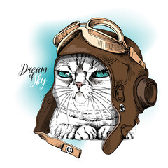Grumpy cat in a retro leather aviator helmet and with a glasses. Creative poster, t-shirt composition, hand drawn style print. Vector illustration. - 437946911
