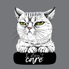 Portrait of the funny Grumpy cat. Humor card, t-shirt composition, meme, hand drawn style print. Vector illustration.
