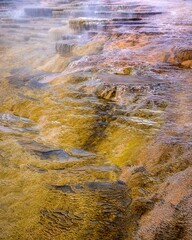 Yellowstone National Park in Wyoming.
