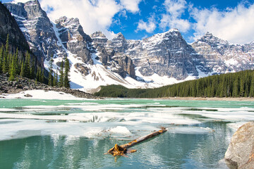 Lake Moraine partly covered in ice with the tree trunk floating in the water and Canadian Rocky Mountains in the background