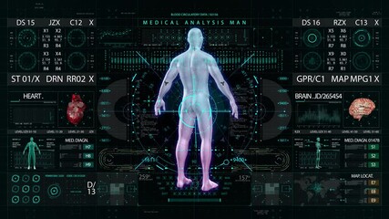 man body medical HUD interface display - Powered by Adobe