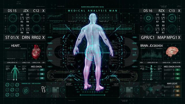 man body medical HUD interface display - Powered by Adobe