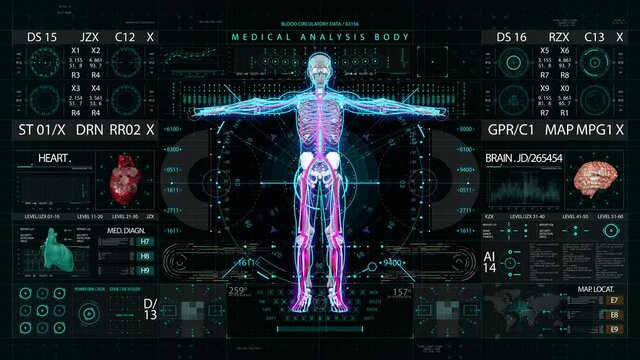 Body skeleton medical HUD interface display