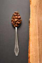 Top view of Roasted coffee beans served in silver vintage spoon with wooden log on Dark background....