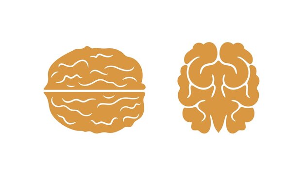 Walnut logo. Isolated walnut on white background. Set