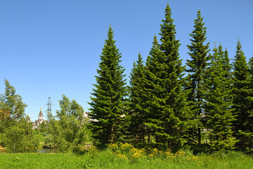 Fototapeta na wymiar Mitino Landscape Park and Lake Penyagino in summer. Moscow, Russia