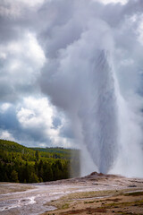 Yellowstone National Park in Wyoming.