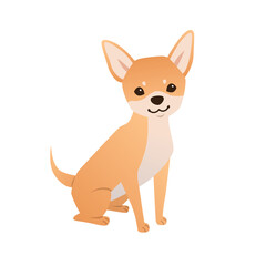 Cute Chihuahua vector illustration on white background. Small pet dog character in flat style. Sitting chihuahua puppy