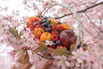 Basket with fruits and flowers on a background of blooming cherries. Natural background. There is a place for text.