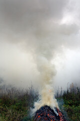 Burning spruce branches, thick smoke rising into the sky.