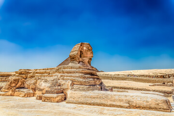 Fototapeta na wymiar The Great Sphinx of Giza Filling the Frame