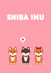 Shiba Inu