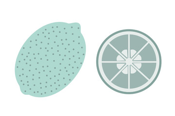 A whole lime and a slice of lime on an isolated white background. Flat vector illustration.
