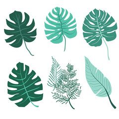 Fototapeta na wymiar Set of leaves monstera. tropical leaves on a white background. jungle leaves. stock vector illustration with elements for leaf design.