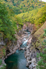 river in the mountains