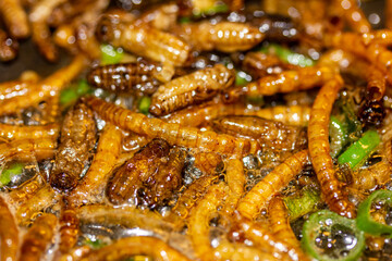 gebratene Mehlwürmer und Grillen mit Lauchzwiebeln