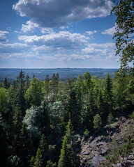 Swedish forest mountain view