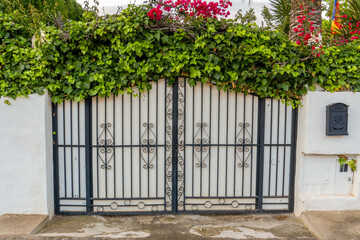 Vine covered wrought iron gates on the exterior of a house.