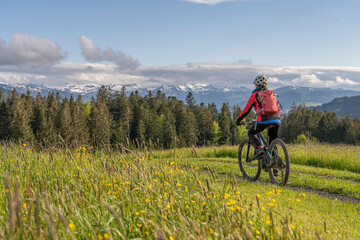 Fototapeta premium smiling senior woman riding her electric mountain bike on a sunny day in early spring with yello flowers on the meadows below the snow capped mountains of Nagelfluh chain near Oberstaufen, Allgaeu 