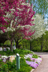 Springtime in Yampa River Botanical Gardens
