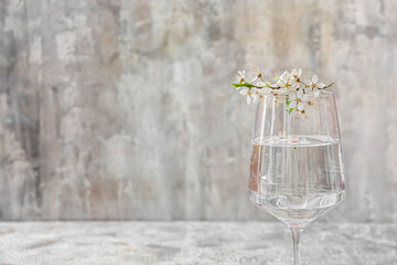 Glass with water and blooming branches on grunge background