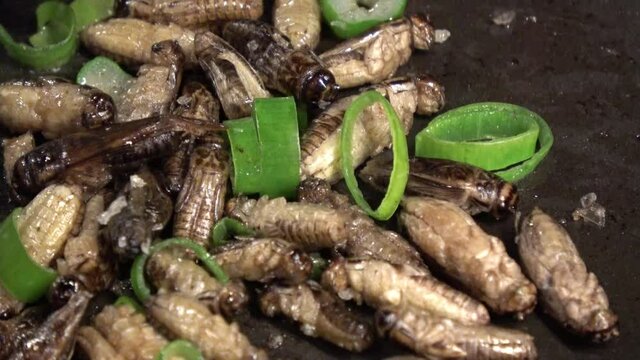 Heimchen werden mit Lauchzwiebeln in einer Pfanne angebraten