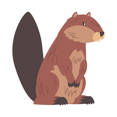 Brown Beaver Wild Rodent Animal Cartoon Vector Illustration