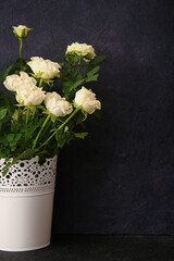 Beautiful white roses in pot on dark background