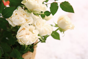 Beautiful white roses in pot on light background, closeup